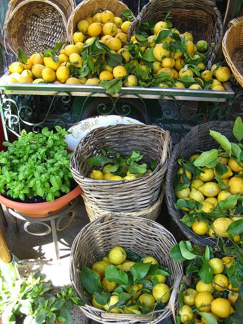Lemons, Italy 