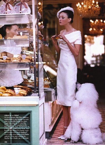 French Poodle and Pastry