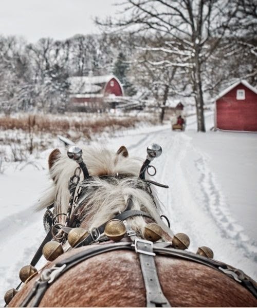 horse drawn carriage 