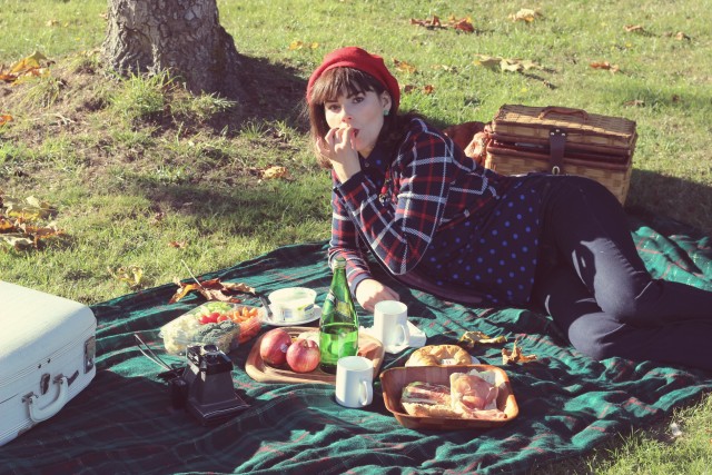 picnic5
