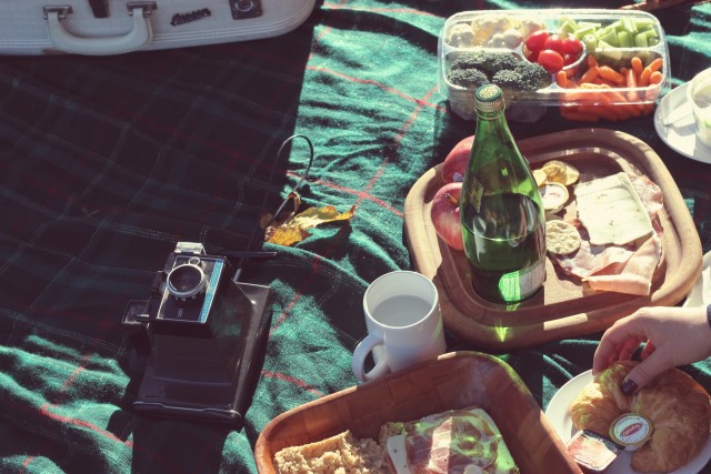 picnic9