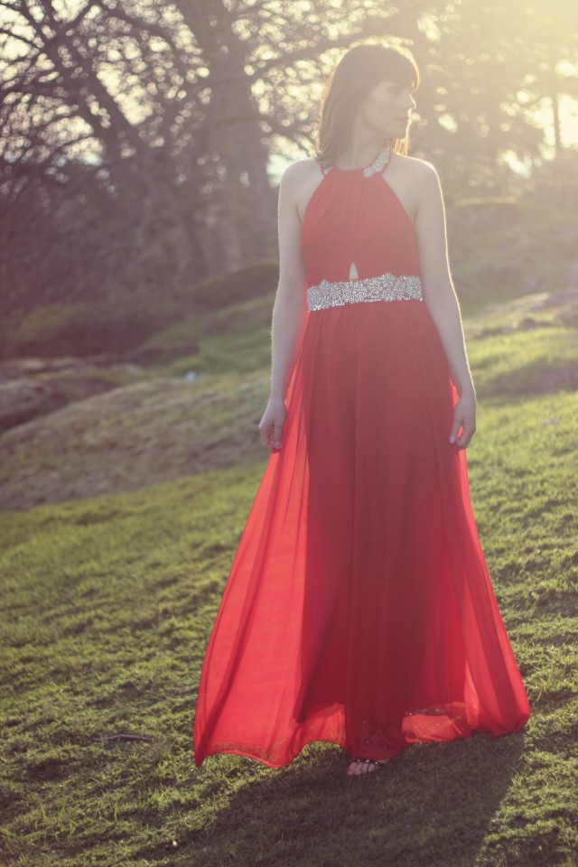Red Carpet, Oscar Gowns, Academy Awards, Gown, Prom Dress, Evening Dress, Red Maxi Dress, Red Carpet Fashion, grad Dress, Marshall's. Fashion Blogger, Prom dress ideas, Red carpet fashion, hollywood, movie start, walk of fame
