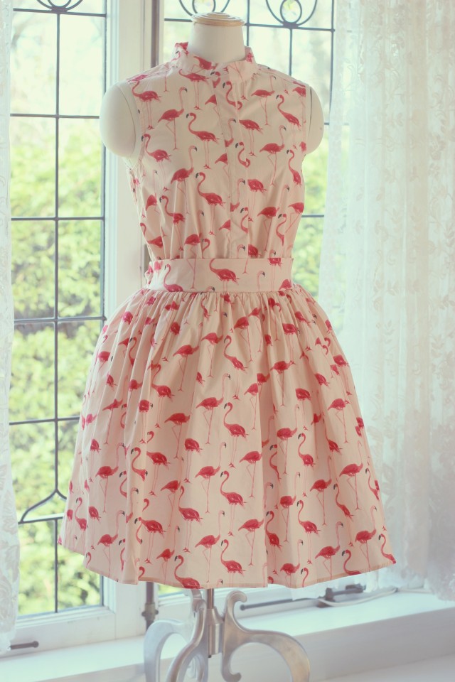 Chic Wish Flamingo Dress, Spring Fashion, Cute Dresses, Fashion Blogger 