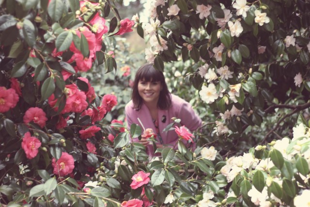 New Chic Pink Coat, Marshall''s Floral Blouse, Club Monaco Black pants, Ceramic cat pin, fashion blogger, Beacon Drive In, Strawberry sundae, Beacon Hill Park 