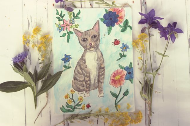 Pet Illustration, watercolour illustration, custom pet portrait , cat portrait 