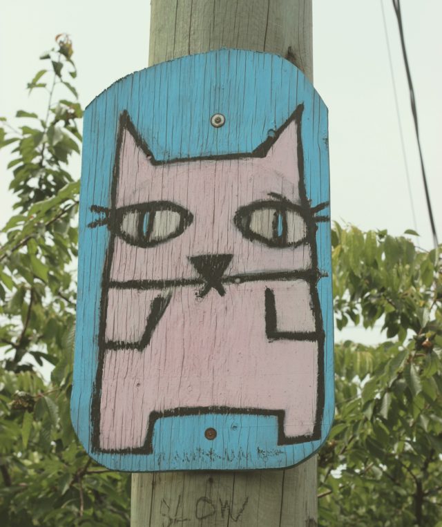 Cat Graffiti 