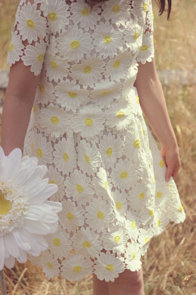 Chic Wish Crochet Daisy Dress