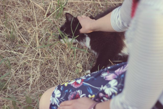Highland Collective, Charming Charlie, Tuxedo Cat, Vintage fashion blogger. floral skirt, Striped shirt, how to mix prints, Lord and Taylor, Hudson's Bay