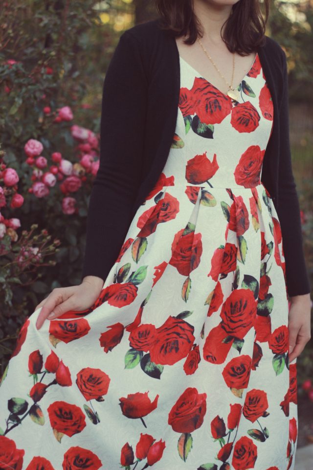 Love Like Roses Embroidered Dress, Chic Wish, Vintage, Dress, Fashion, Style, Blogger, French, Beret, Rose, Floral, Flowers