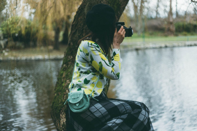 limoncello printed cardigan, Tulle Skirt, Plaid Skirt, Beret, Vintage, Style, Blogger, Lord and Taylor, Peter Pan Cpllar, Lemon, Print,