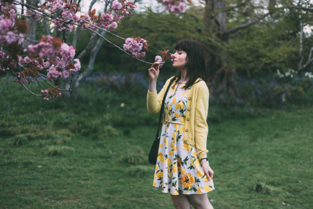 Lemon Dress, Gingham Bag, Pom Pom Boutique, Spring, Fashion, Vintage, style, cherry blossoms, Mad Men,