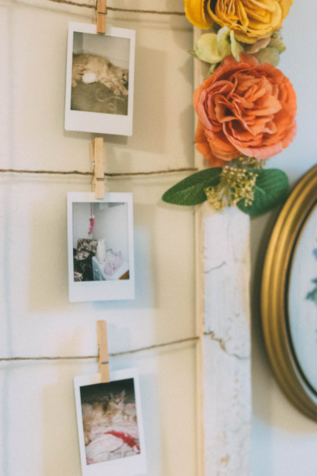 Pier 1 Imports, DIY Floral Frame, Cat Dishes