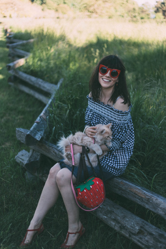 Chic Wish, Cold Shoulder Gingham Top, Red cat Eye sunglasses, Denim Skirt, Red Cat Eye Sunglasses, Yumi