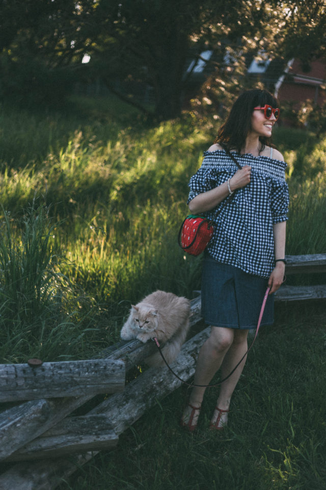 Chic Wish, Cold Shoulder Gingham Top, Red cat Eye sunglasses, Denim Skirt, Red Cat Eye Sunglasses, Yumi