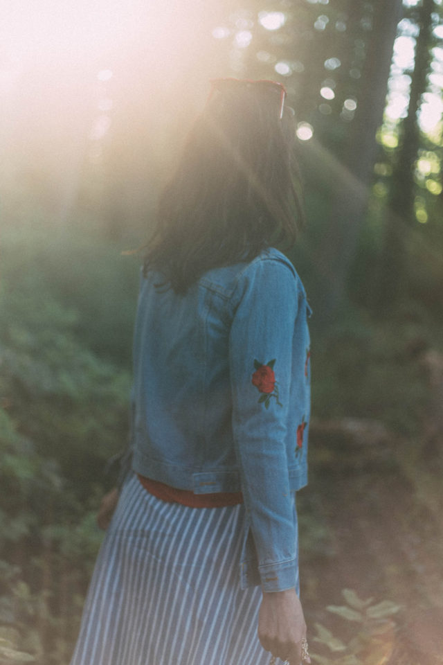 Vertical Striped Single Breasted Circle Skirt, SheInside, Rose Embroidery Single Breasted Denim Jacket, watermelon bag, denim, vintage, summer, red