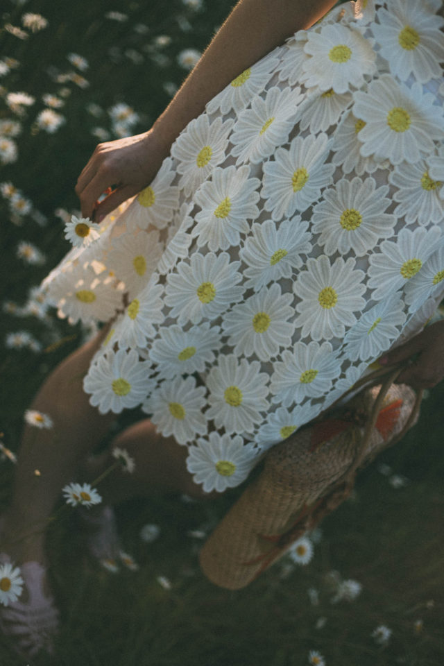 Flawless in Fleurs Midi Dress, Daisy, Crochet, Vintage, summer