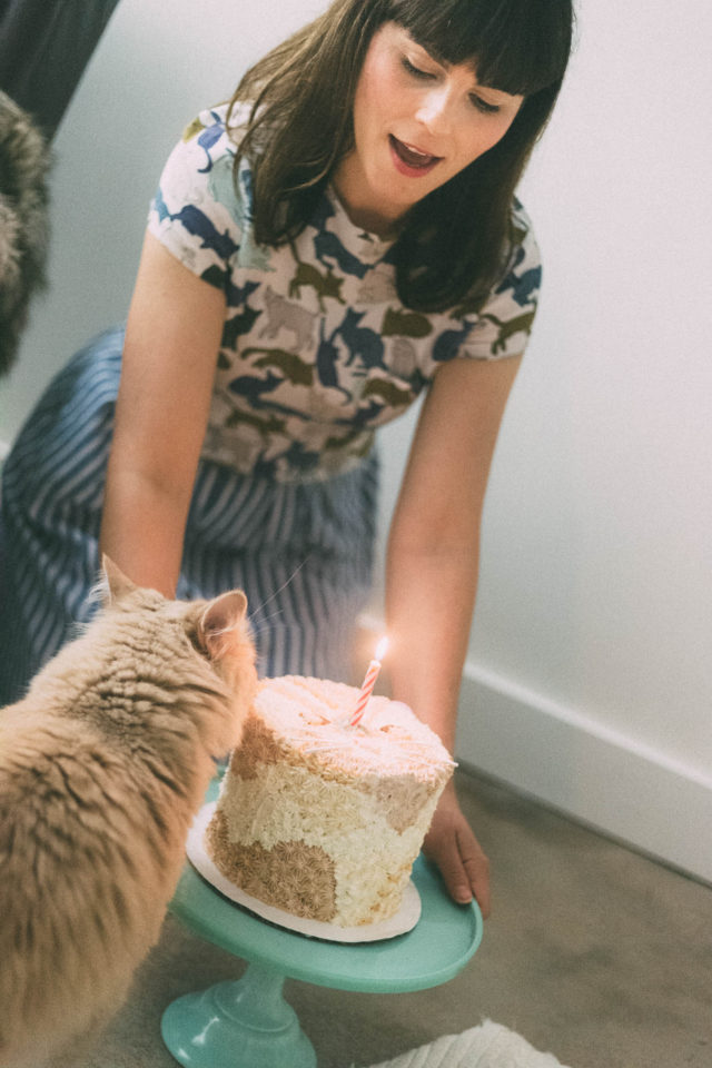 Cat Cake, Cats Birthday, Party, Cat, Cat clothes, Ruth and Dean