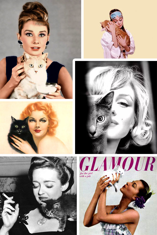 Vintage Hollywood, Cat, Vintage, retro, Old Hollywood, Audrey Hepburn, Betty Davis, Marilyn Monroe, Cat themed clothes, cat fashion