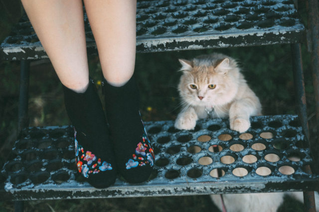 Portia Ruffle Midi Dress, Ever New Melbourne, Judy crombie, Sara Embroidered Small Bag, Billy Embroidered Boots, Fall Fashion, Vintage, Train, Pinky, Cat, Kitten,