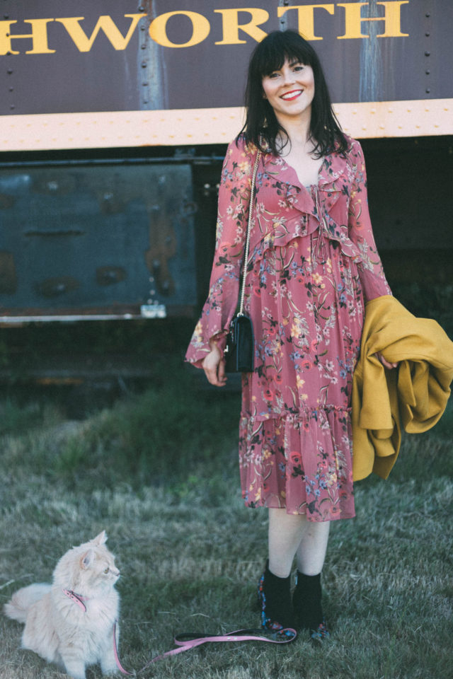 Portia Ruffle Midi Dress, Ever New Melbourne, Judy crombie, Sara Embroidered Small Bag, Billy Embroidered Boots, Fall Fashion, Vintage, Train, Pinky, Cat, Kitten,