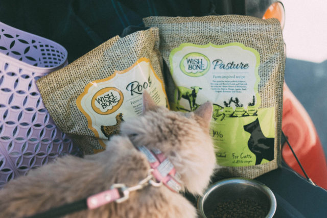 Wishbone Pet Foods, Amazon, Gluten Free, Cat food, Small Batch, Grain-Free, Free From Fillers