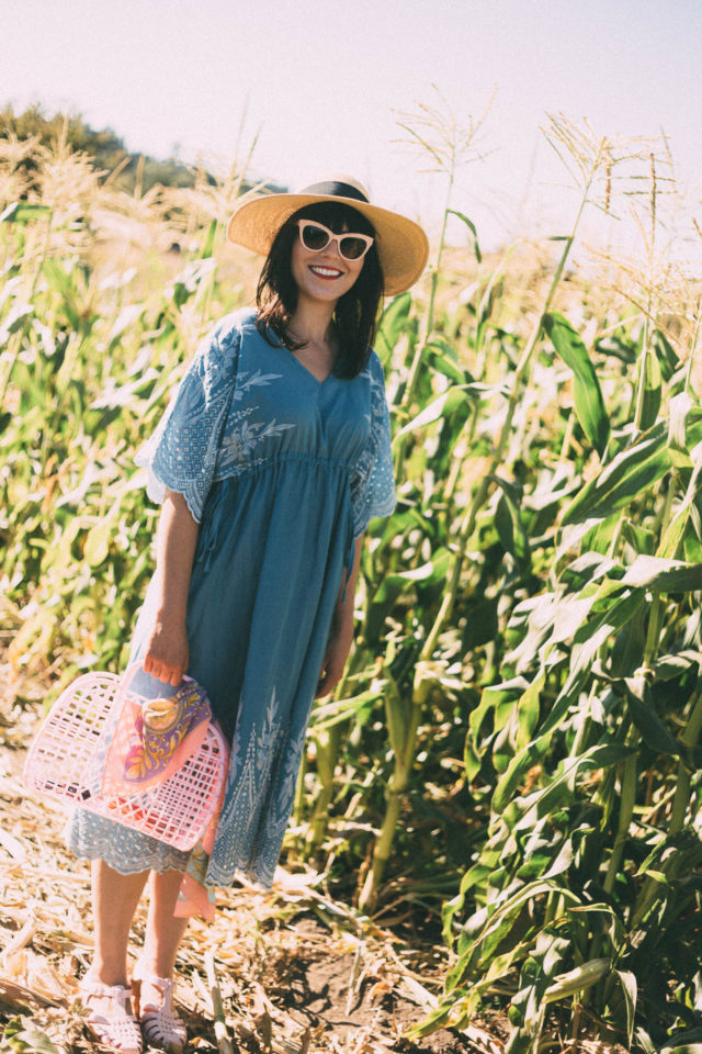 Across the Fields Embroidered Dress in Blue, Chic Wish, Le chateau, Straw hat, vintage, summer, fashion, retro, sun Jellies,