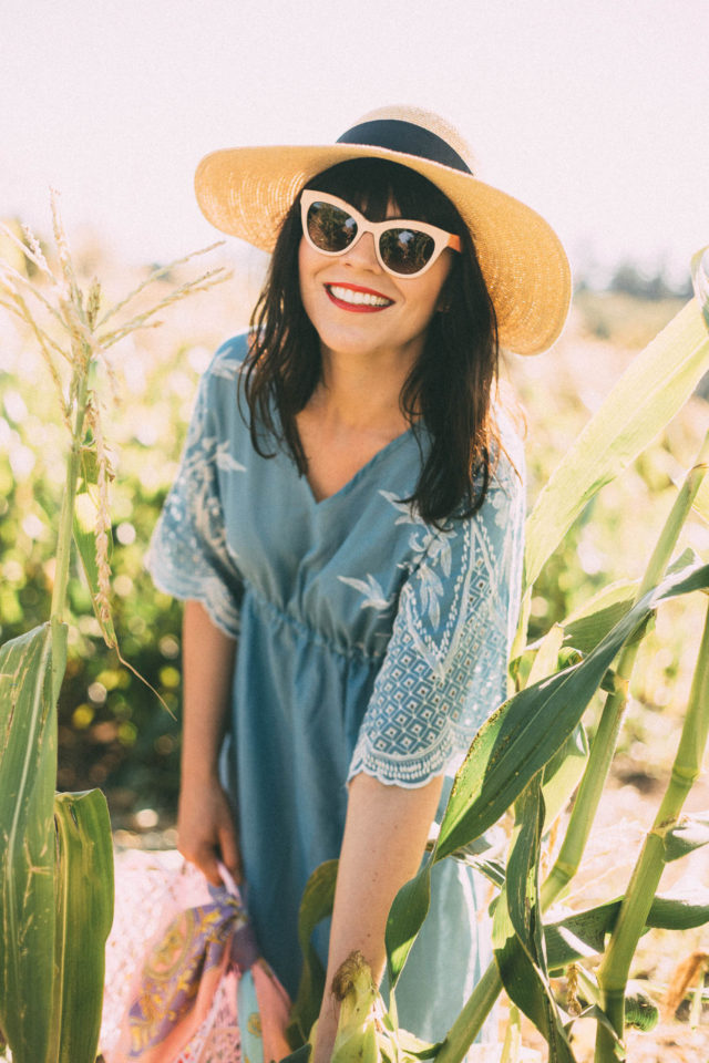 Across the Fields Embroidered Dress in Blue, Chic Wish, Le chateau, Straw hat, vintage, summer, fashion, retro, sun Jellies,