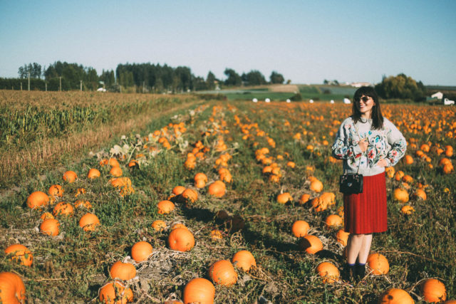 Surrounded by Flowers Embroidered Sweater in Grey, Chicwish, Nifty Eyelet Knitted A-line Skirt in Red, pumpkins, fall, vintage, fashion, autumn, style,