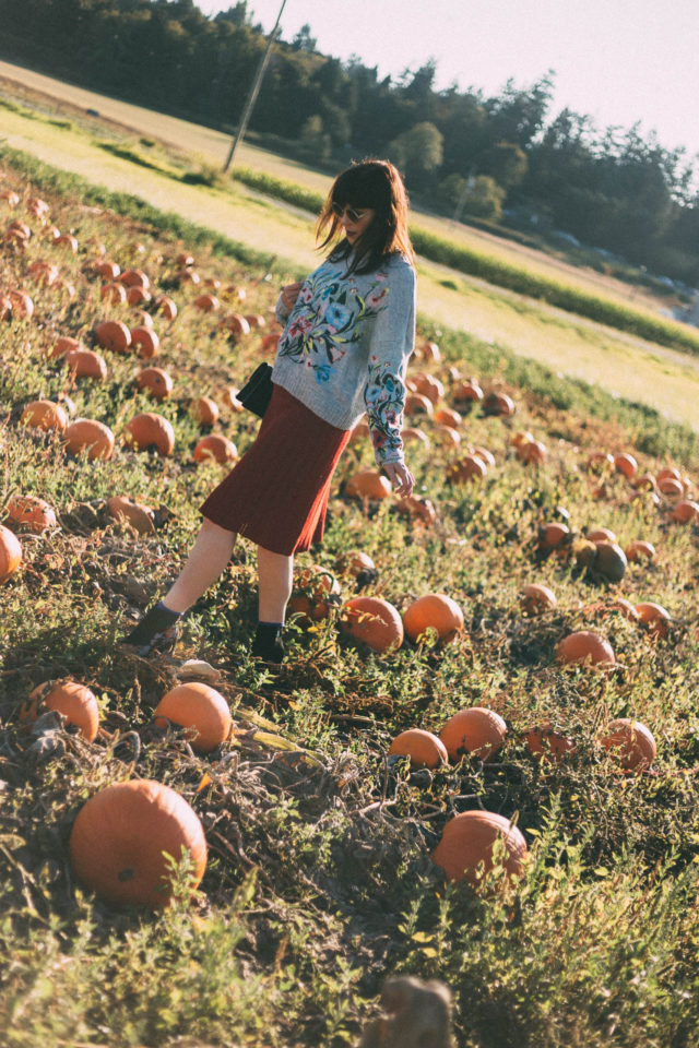 Surrounded by Flowers Embroidered Sweater in Grey, Chicwish, Nifty Eyelet Knitted A-line Skirt in Red, pumpkins, fall, vintage, fashion, autumn, style,