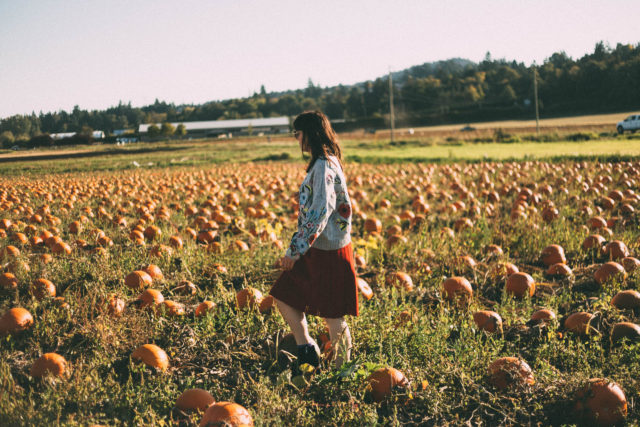 Surrounded by Flowers Embroidered Sweater in Grey, Chicwish, Nifty Eyelet Knitted A-line Skirt in Red, pumpkins, fall, vintage, fashion, autumn, style,