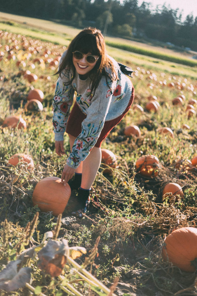 Surrounded by Flowers Embroidered Sweater in Grey, Chicwish, Nifty Eyelet Knitted A-line Skirt in Red, pumpkins, fall, vintage, fashion, autumn, style,