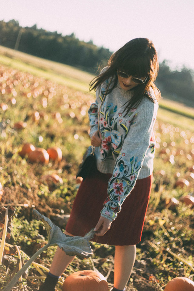 Surrounded by Flowers Embroidered Sweater in Grey, Chicwish, Nifty Eyelet Knitted A-line Skirt in Red, pumpkins, fall, vintage, fashion, autumn, style,