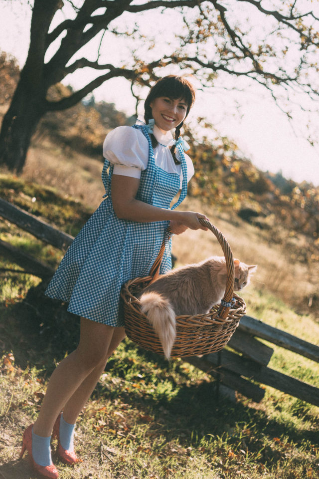 Wizard of Oz, Dorthy, Costume, Halloween, vintage, toto, idea, DIY, vintage, retro, costume, cat costume, idea