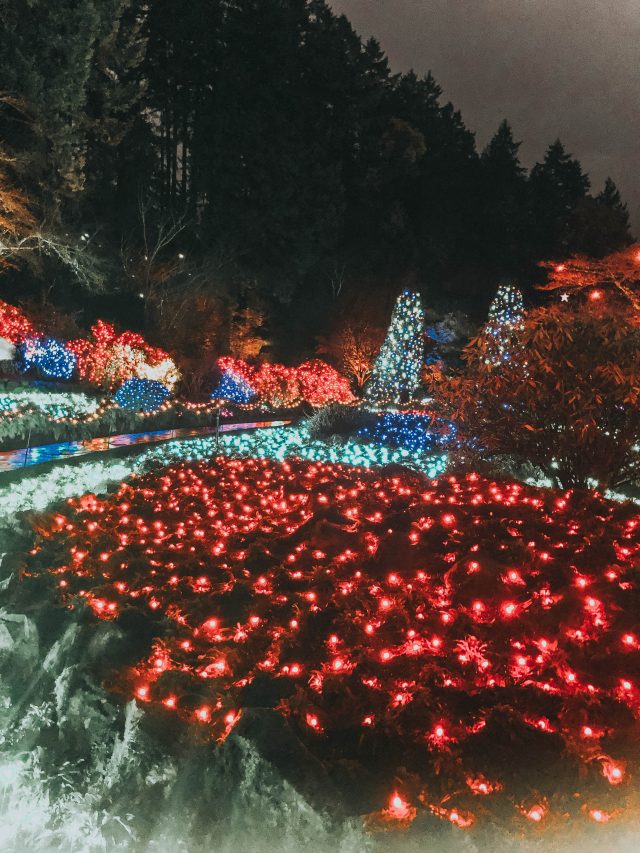 The Magic of Christmas, The Butchart Gardens, Christmas Light Display, Victoria, BC, Canada