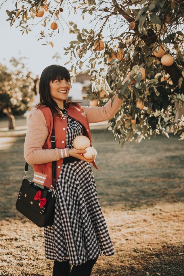 Unique Vintage, Gingham Dress, Joanie Clothing, vintage varsity jacket, Hello Kitty for Modcloth, Grapefruit picking Arizona, Phoenix, Citrus picking,