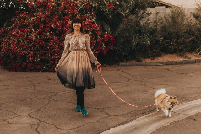 We Know It All Gradient Long Sleeves Pleated Mesh Tulle Dress, Chic Wish, Pomeranian, Feminine vintage inspired Spring Fashion , Modcloth,