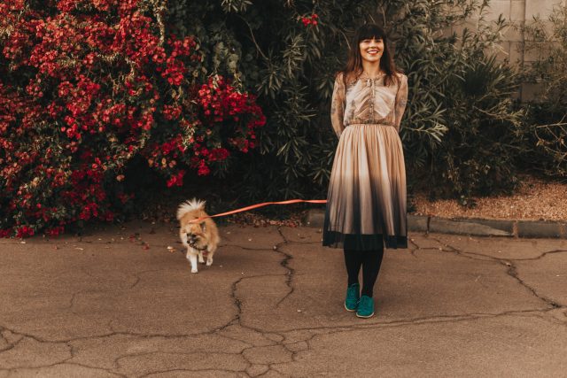 We Know It All Gradient Long Sleeves Pleated Mesh Tulle Dress, Chic Wish, Pomeranian, Feminine vintage inspired Spring Fashion , Modcloth,