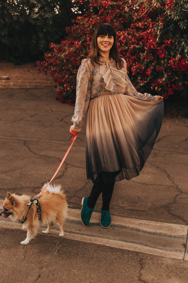 We Know It All Gradient Long Sleeves Pleated Mesh Tulle Dress, Chic Wish, Pomeranian, Feminine vintage inspired Spring Fashion , Modcloth,