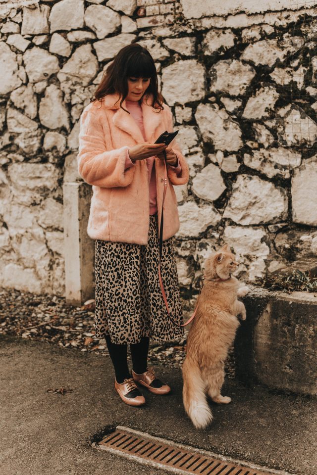 Wild Heart Leopard Printed A-Line Midi Skirt, Chic Wish Spring Fashion, walking your cat.