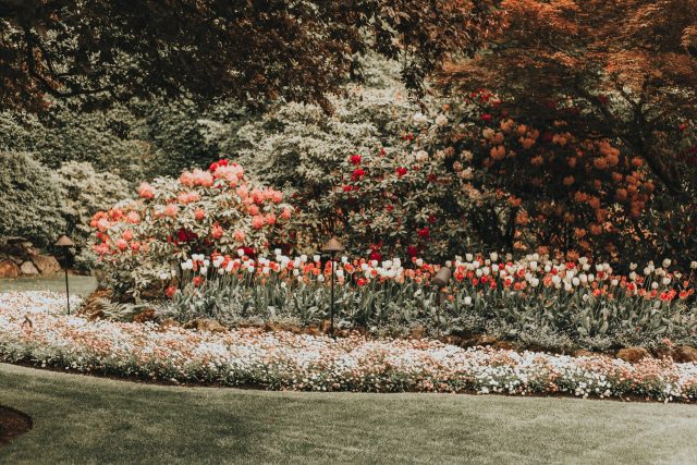 Afternoon Tea at The Butchart Gardens, The Butchart Gardens, Spring 2019, The Butchart Gardens, Victoria, BC The Dining Room