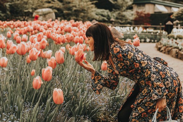 Afternoon Tea at The Butchart Gardens, The Butchart Gardens, Spring 2019, The Butchart Gardens, Victoria, BC The Dining Room