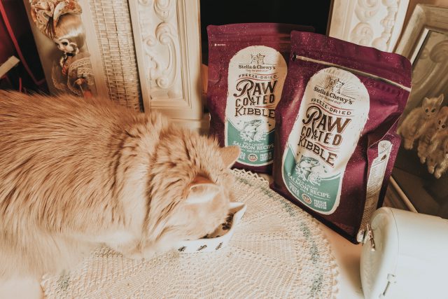 Stella and Chewys new Raw Blend Kibble for cats