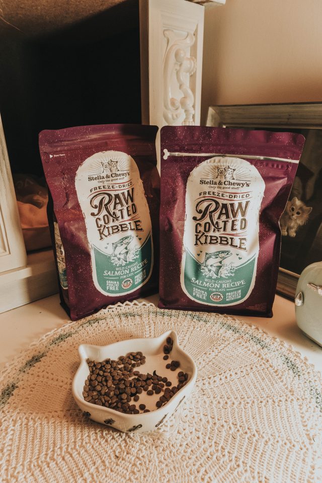 Stella and Chewys new Raw Blend Kibble for cats