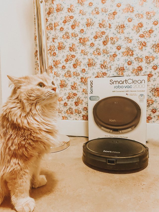 ionVac SMART CLEAN ROBOT VACUUM 